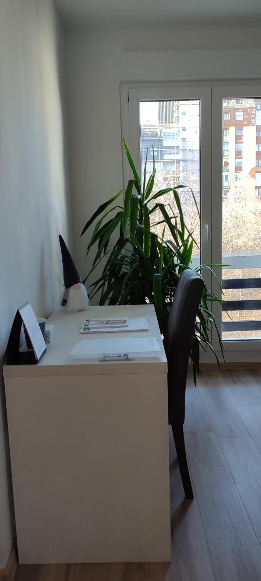 Sunny Apartment Osijek, Self Check In المظهر الخارجي الصورة
